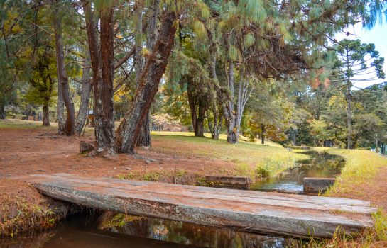 Parque Estadual Horto Florestal