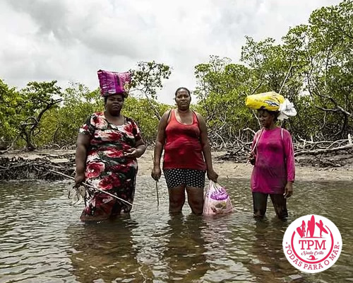 Campanha de alimento para as Marisqueiras de Maracaipe